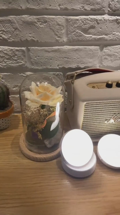 CONVIQO GlowSense™